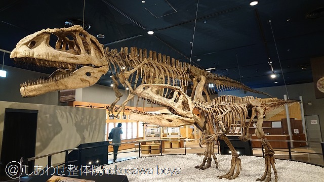 恐竜マブサウルスの化石